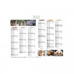 Calendrier Mural  2022 - 27 x 21 cm - Animaux