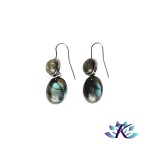 Boucles d'oreilles Acier Inoxydable Perles Pierres Gemmes : Labradorite