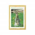 Carte Message - Lapin  "Comment Va Mon Lapinou ?"