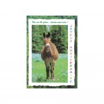 Carte De Voeux - Anniversaire - Cheval "Un An De Plus ... Laisse-moi Rire !"