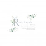 Carte De Voeux - Condol�ances - 5 Cartes Remerciements Deuil Aquarelle