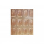 Faux Ongles + Adhsifs - Beige Transparent Paillettes Argentes + Stickers